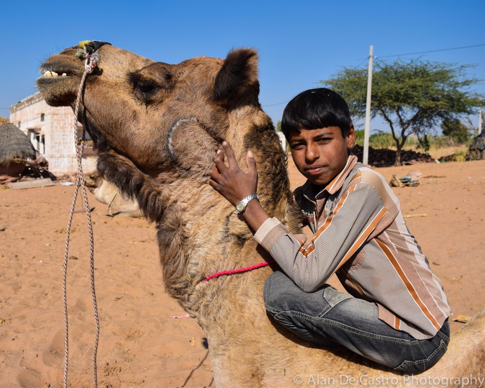 Thar Desert,  Osian, Rajasthan Camel Guide