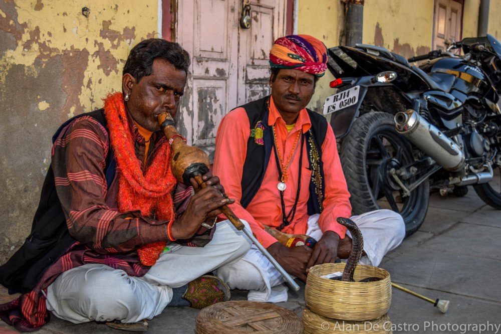 Jaipur, India Snake Charmer