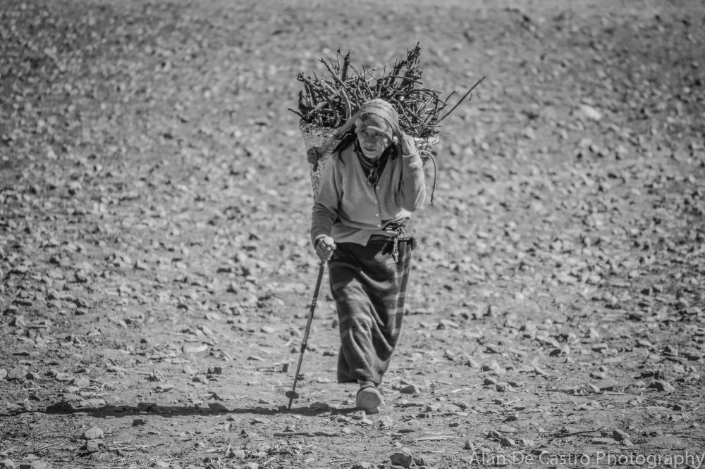 Manang, Nepal Gatherer