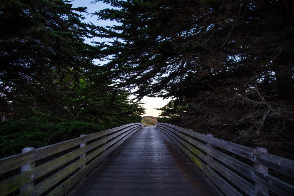 The Bridge Miramontes Point Half Moon Bay, CA