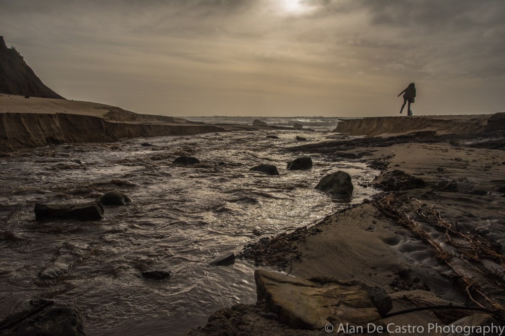Dune Stream Half Moon Bay, Ca