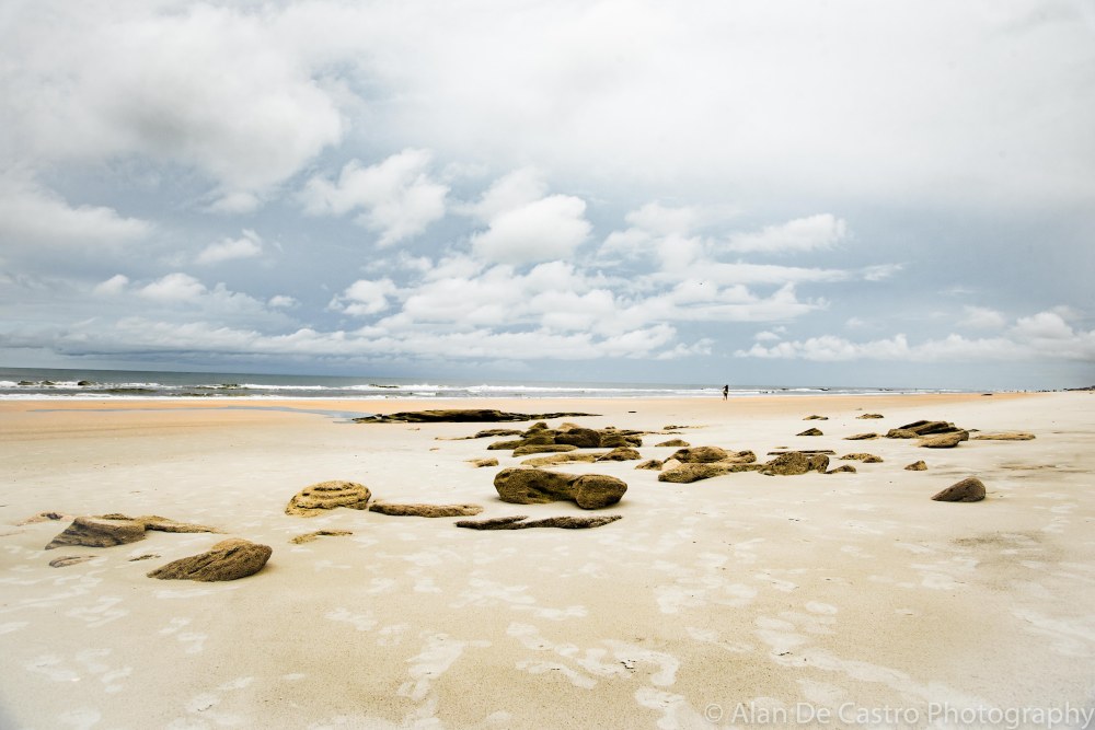 Coquina Rock Beach, FL