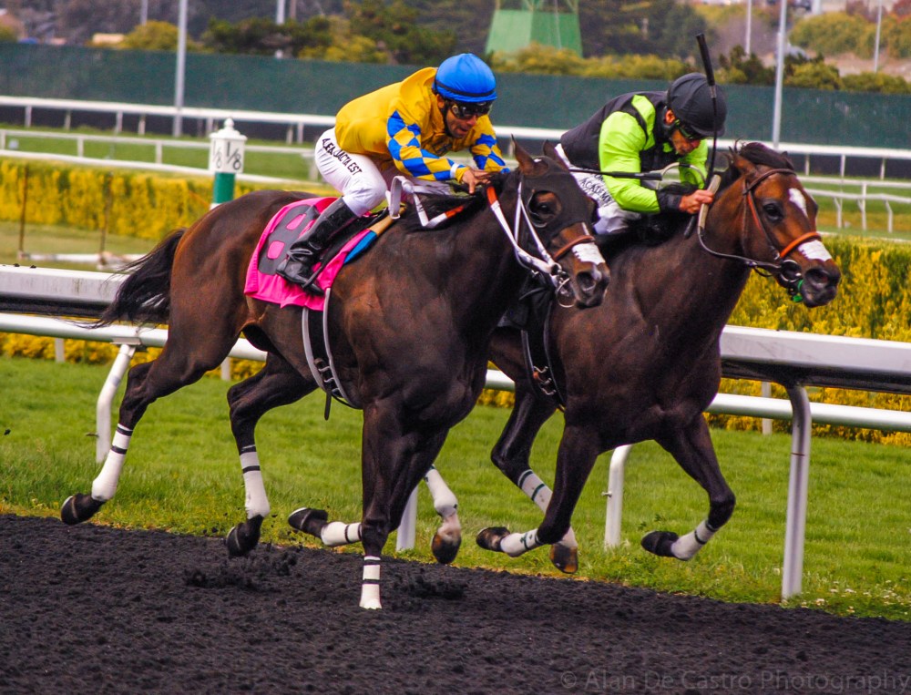 Fast Track Golden Gate Fields Berkeley, California