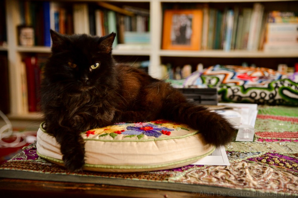 Lucky  Revolving Doors, VA 