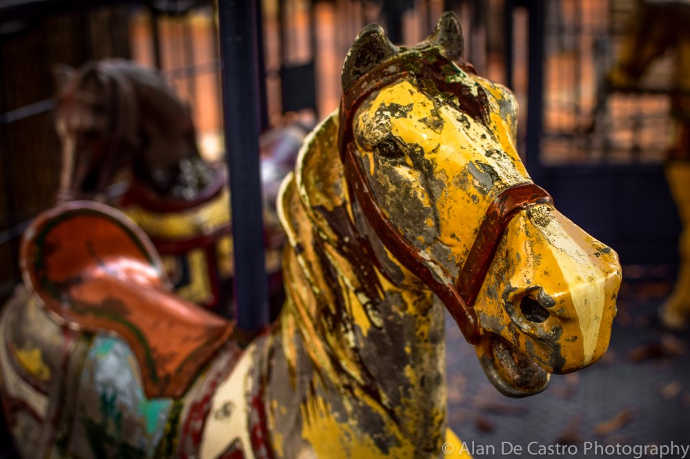 Historical Merry Go Round Charlottesville, VA
